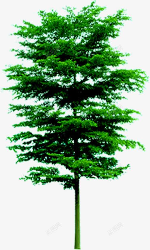 创意绿色植物树木png免抠素材_新图网 https://ixintu.com 创意 树木 绿色植物