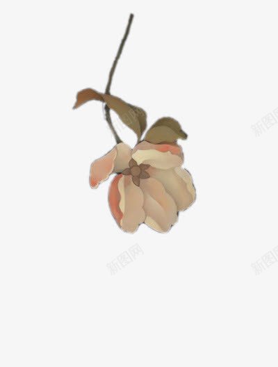 花和鸟png免抠素材_新图网 https://ixintu.com 复古 手绘 清新