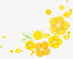 手绘黄色花朵展架素材