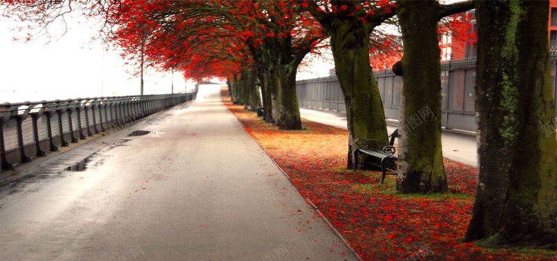 道路背景图背景