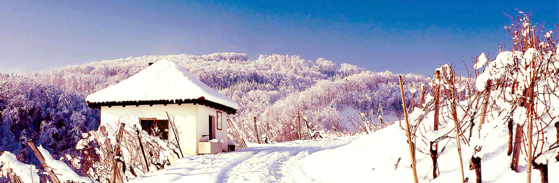 冬日雪地房屋背景背景