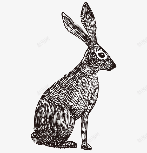 黑白可爱兔子手绘素描矢量图ai免抠素材_新图网 https://ixintu.com 兔子下载 动物手绘 可爱 手绘兔子 矢量手绘 黑白 矢量图