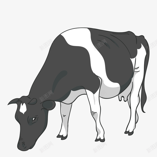 低头吃草的奶牛png免抠素材_新图网 https://ixintu.com 低头 农场 卡通 吃东西 奶牛 手绘