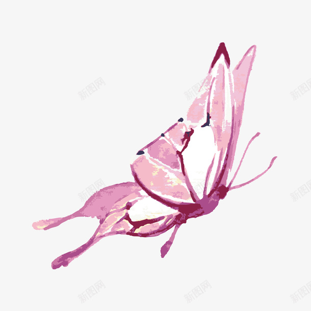 水彩蝴蝶矢量图ai免抠素材_新图网 https://ixintu.com 元素 彩绘 水彩 蝴蝶 矢量图