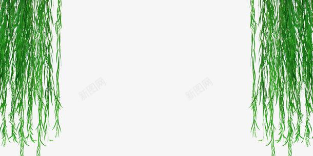 柳条png免抠素材_新图网 https://ixintu.com 春柳 柳叶 柳条 柳枝