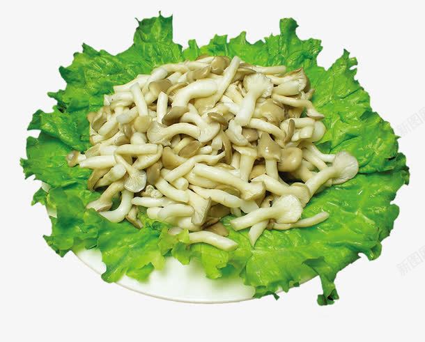 火锅中的蘑菇png免抠素材_新图网 https://ixintu.com 产品实物 材料 火锅食材 美食 菌类 蔬菜