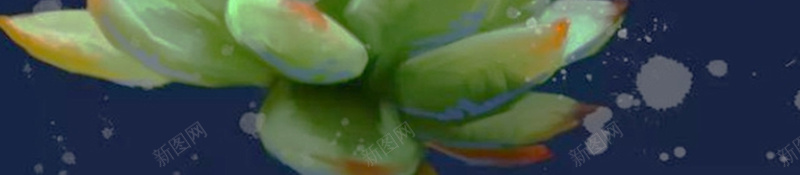 多肉植物背景素材jpg设计背景_新图网 https://ixintu.com 蓝黑色 喷墨 多肉 植物 泡泡 宣传 摄影 质感