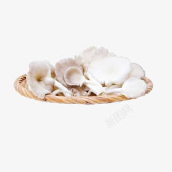 蘑菇香菇平菇素材