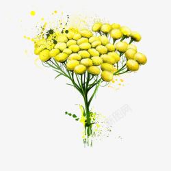 黄色的花素材