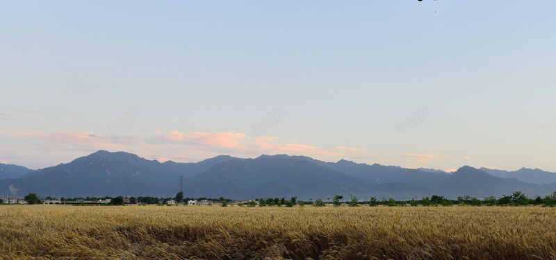 大自然山地麦田摄影背景背景