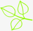 绿色简约手绘植物树叶png免抠素材_新图网 https://ixintu.com 树叶 植物 简约 绿色