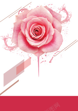 粉色玫瑰海报背景图背景
