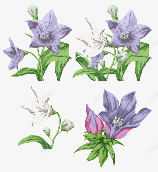 牵牛花手绘卡通画png免抠素材_新图网 https://ixintu.com 卡通 手绘 牵牛花 画