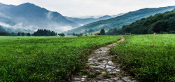 淘宝茶叶高山海报banner背景