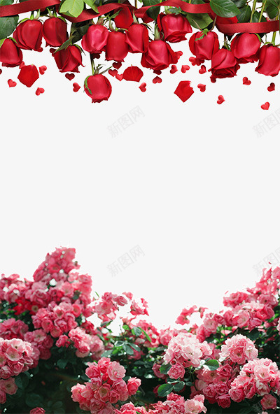 红色玫瑰花粉色花簇装饰背景psd免抠素材_新图网 https://ixintu.com 粉色花簇 红色玫瑰 花元素 花多背景