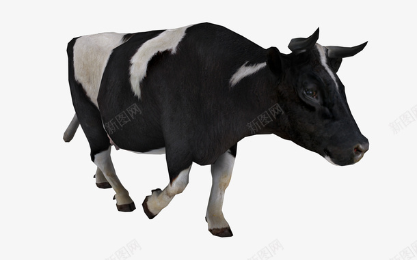 可爱的小奶牛11png免抠素材_新图网 https://ixintu.com 动物 家畜 牛 牛奶11 黑白牛