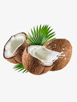 水果椰子椰子高清图片