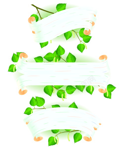白桦树3款白桦树风格绿叶子标题背景矢量图高清图片