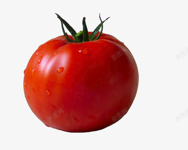 熟透了的西红柿png免抠素材_新图网 https://ixintu.com 植物 西红柿 熟透的 红色的