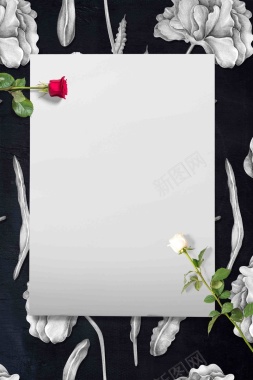 白纸母亲节花朵黑色冷酷广告背景背景