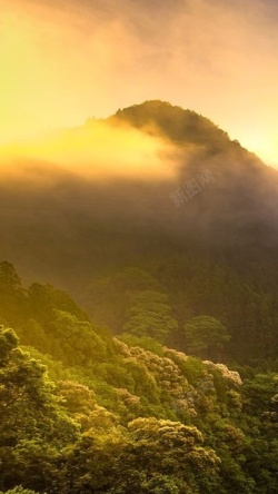 绿山风景风景绿山黄云H5背景素材高清图片