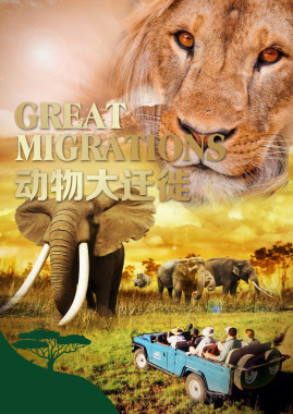 动物大迁移旅游海报背景背景