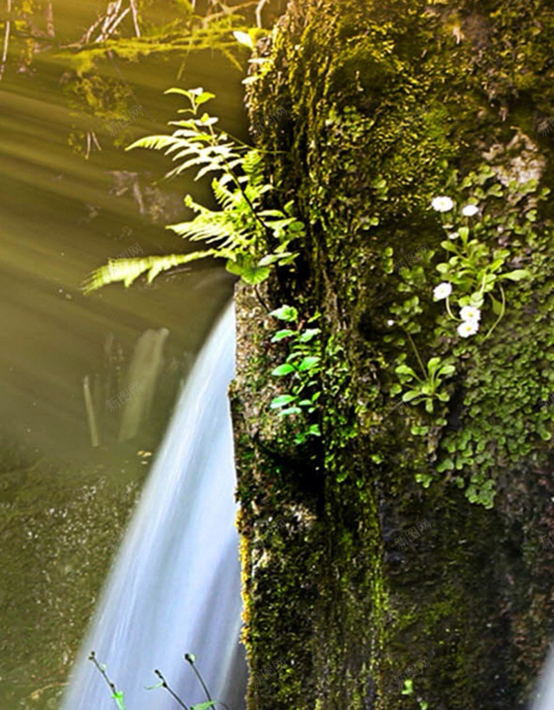 岩石中的瀑布H5素材背景jpg设计背景_新图网 https://ixintu.com 岩石 瀑布 水流 青苔 摄影 H5素材 风景