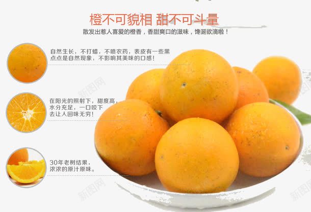 冰糖橙png免抠素材_新图网 https://ixintu.com 冰糖橙 广告 橙不可貌相 甜不可斗量