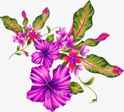 紫色卡通手绘花朵植物素材