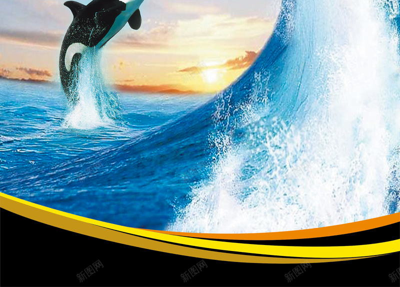 蓝色海洋背景模板psd设计背景_新图网 https://ixintu.com 家具 家居 海洋 蓝色 贝壳 海洋鱼 海豚 水元素 海报 平面 广告 背景 PSD 素材 模板