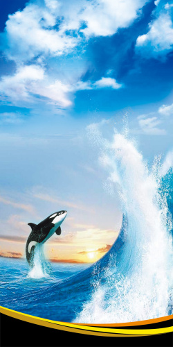 平面海豚蓝色海洋背景模板高清图片