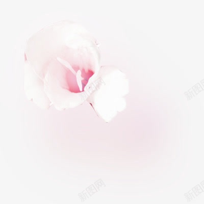白色透明花瓣装饰植物png免抠素材_新图网 https://ixintu.com 植物 白色 花瓣 装饰 透明
