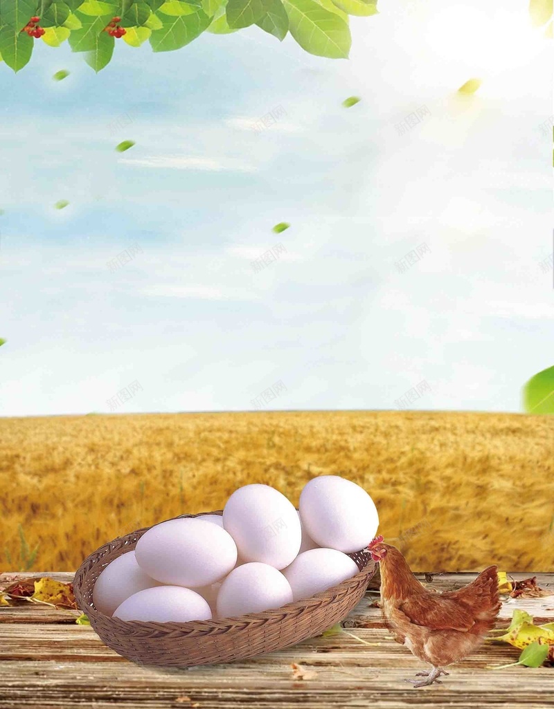 创意美食柴鸡蛋海报背景模板psd设计背景_新图网 https://ixintu.com 背景模板 健康 创意 海报 美食 柴鸡蛋 绿色 营养
