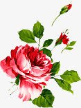 海报效果植物涂鸦花朵png免抠素材_新图网 https://ixintu.com 效果 植物 海报 涂鸦 花朵 设计