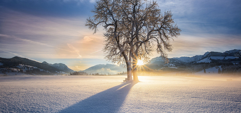 阳光树木雪地淘宝bannerjpg设计背景_新图网 https://ixintu.com 阳光 树木 雪地 淘宝banner 风景 旅游 海报banner 摄影