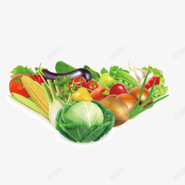 逼真蔬菜类png免抠素材_新图网 https://ixintu.com 包菜 玉米 蔬菜类 逼真