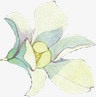 白色花朵手绘小白花png免抠素材_新图网 https://ixintu.com 小白花 手绘 白色 花朵