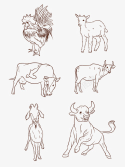 绵羊动物手绘线描高清图片