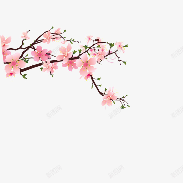 粉红色小花带树枝png免抠素材_新图网 https://ixintu.com 小花 带树枝 粉红色 装饰