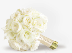 白色浪漫玫瑰花素材