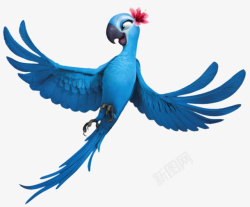 动画版蓝色鹦鹉动画版里约热内卢高清图片