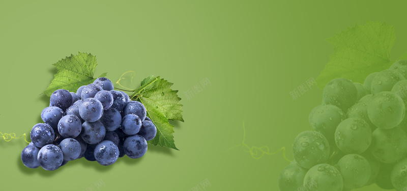 葡萄熟了简约绿色背景背景