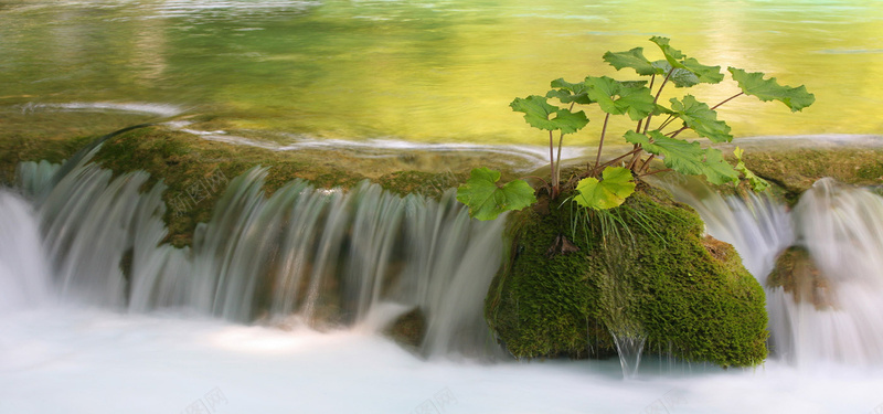 河流与小溪jpg设计背景_新图网 https://ixintu.com 河流 小溪 植物 绿色 海报banner 摄影 风景