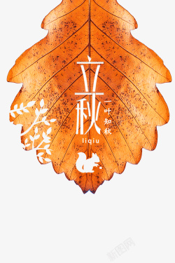 秋天节气小报秋天立秋树叶二十四节气高清图片