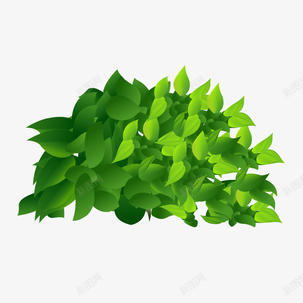 绿色一簇树叶矢量图ai免抠素材_新图网 https://ixintu.com 一簇 树叶 绿色 矢量图