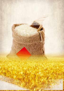 大米粮食展板背景背景