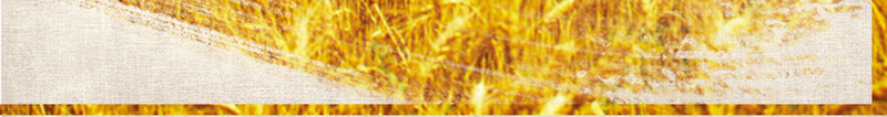 大米粮食展板背景psd设计背景_新图网 https://ixintu.com 大米 大米海报 展板 稻子 粮食 粮食展板 素材 背景 背景素材