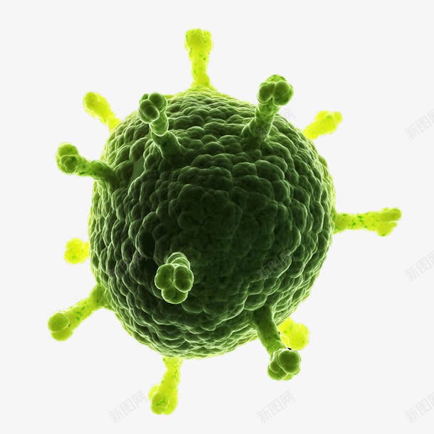 显微镜微生物图png免抠素材_新图网 https://ixintu.com 微生物绿色球状