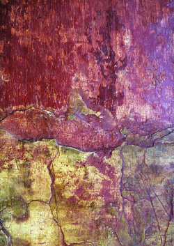 油彩纹理油彩树皮背景高清图片