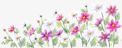 花卉风景画手绘花卉风景画高清图片